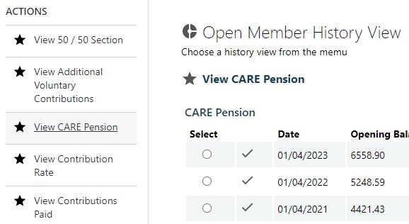 The employerHub View CARE Pension